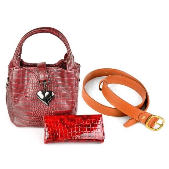 Ladies Purse / Belt