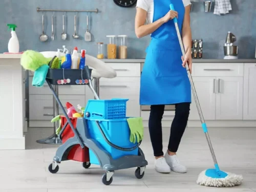 Cleaning Liquid